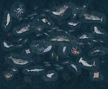 Factura FAUNA MARINE LIFE 3